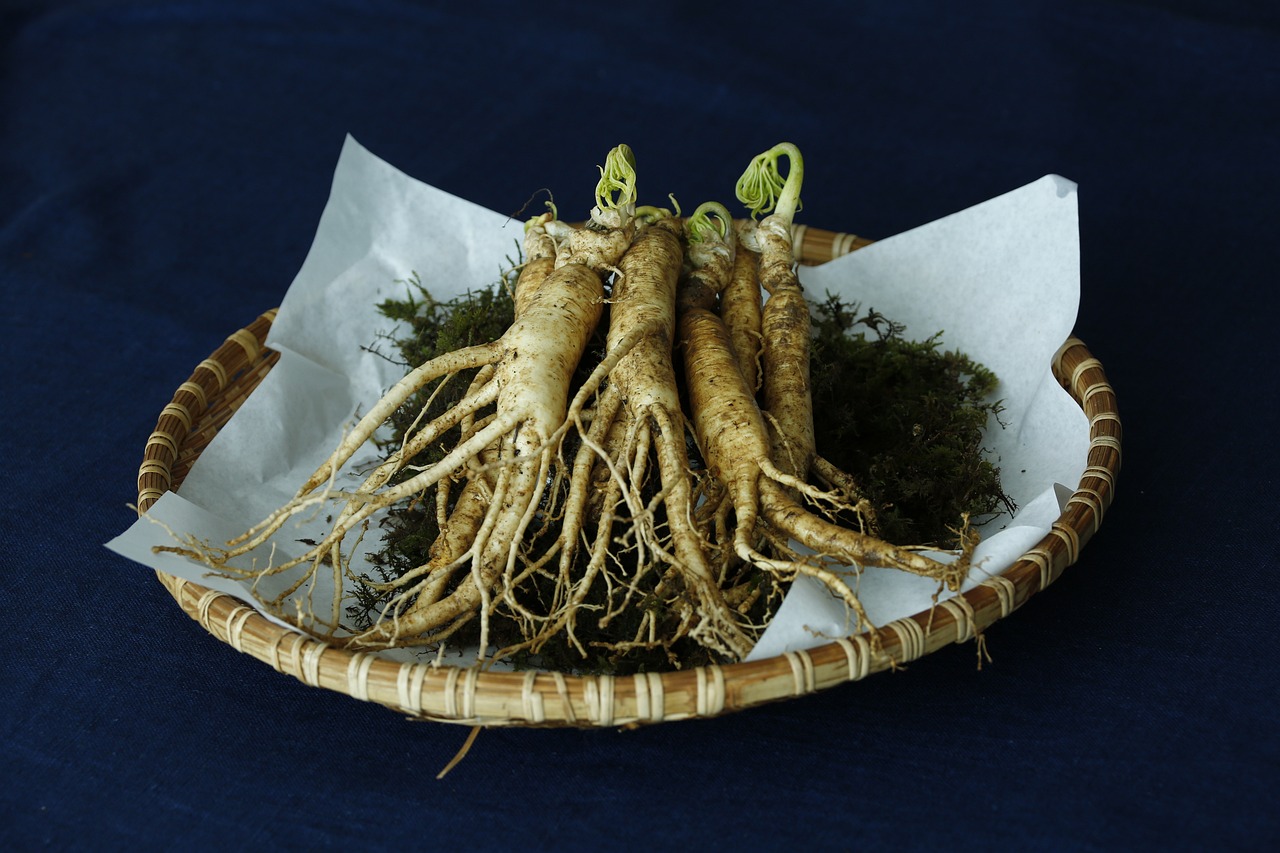 Pesquisa clínica sobre Ginseng