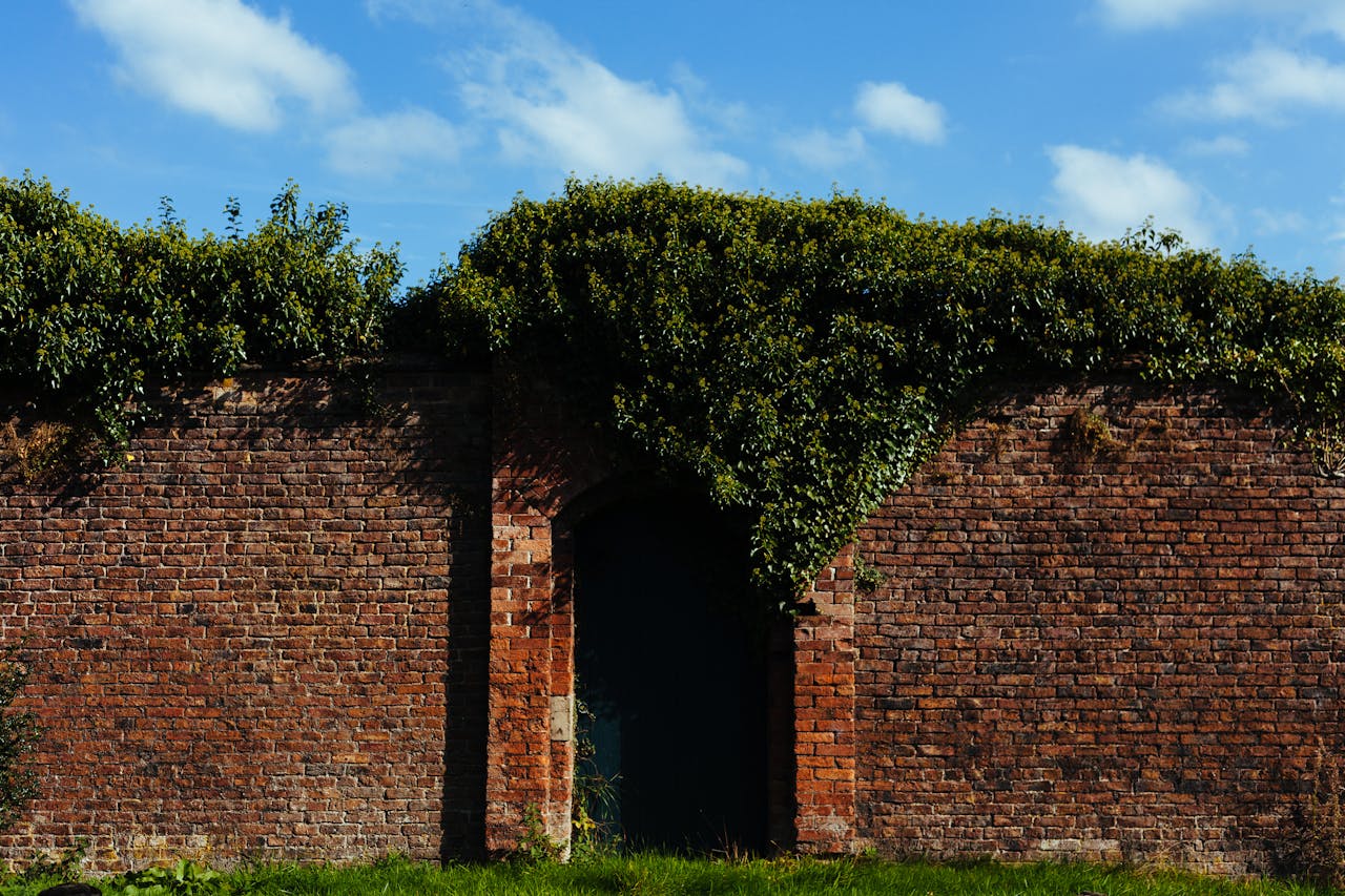 Viagem ao jardim secreto